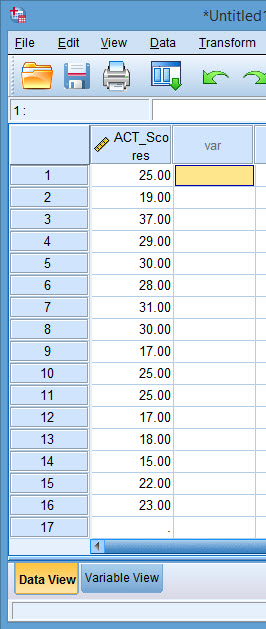 SPSS Instruction