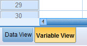 SPSS Instruction
