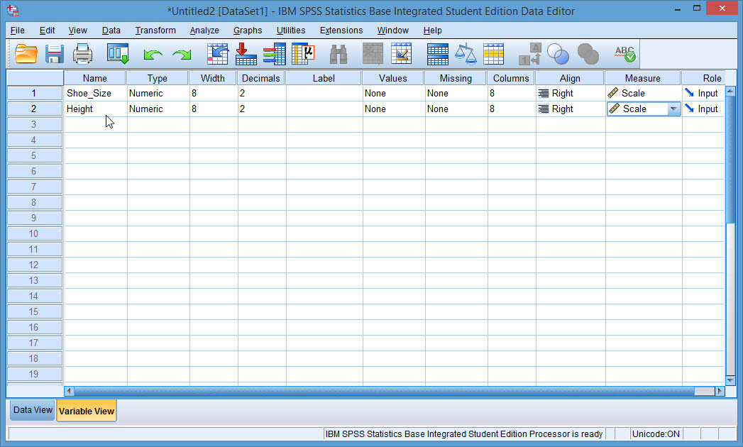SPSS Instruction