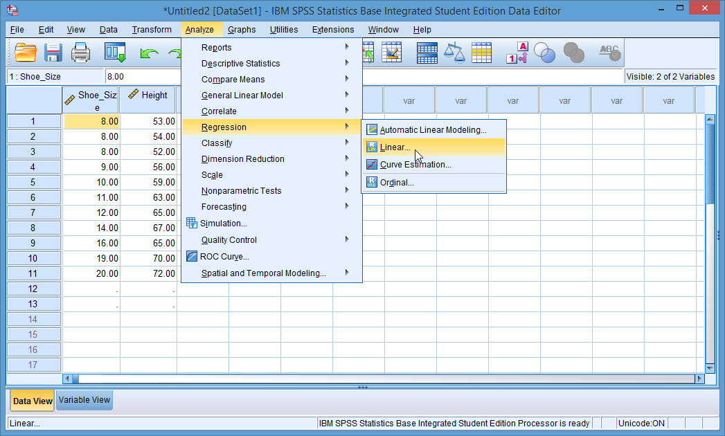 SPSS Instruction