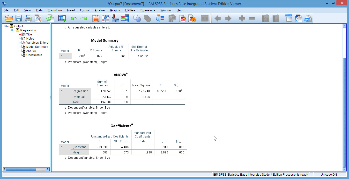 SPSS Instruction