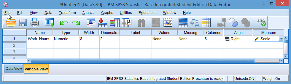SPSS Instruction
