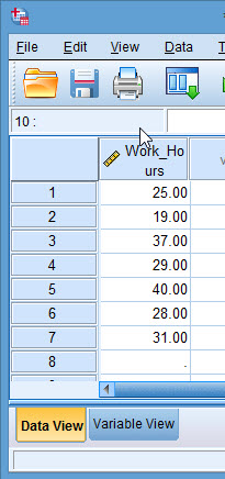SPSS Instruction