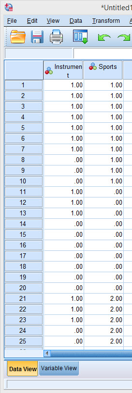 SPSS Instruction