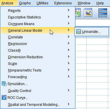 SPSS Instruction